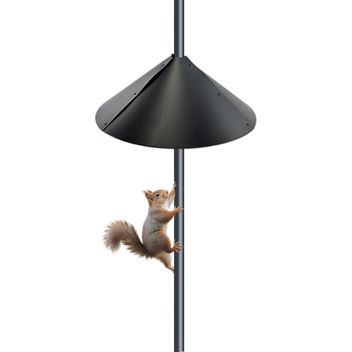 Rubber shims included for secure installation of the squirrel baffle
