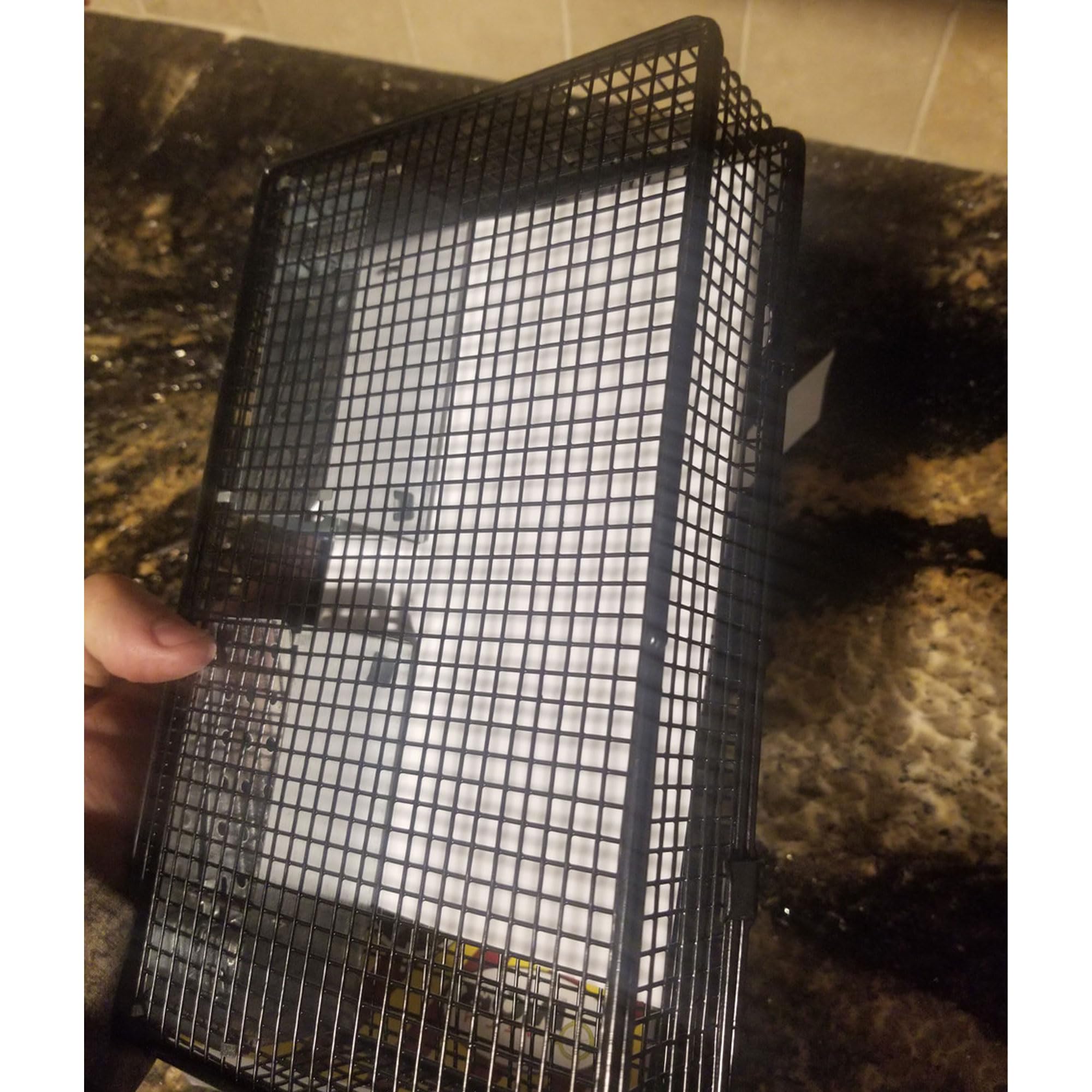 Rugged Ranch Mousinator mouse trap dimensions and specifications