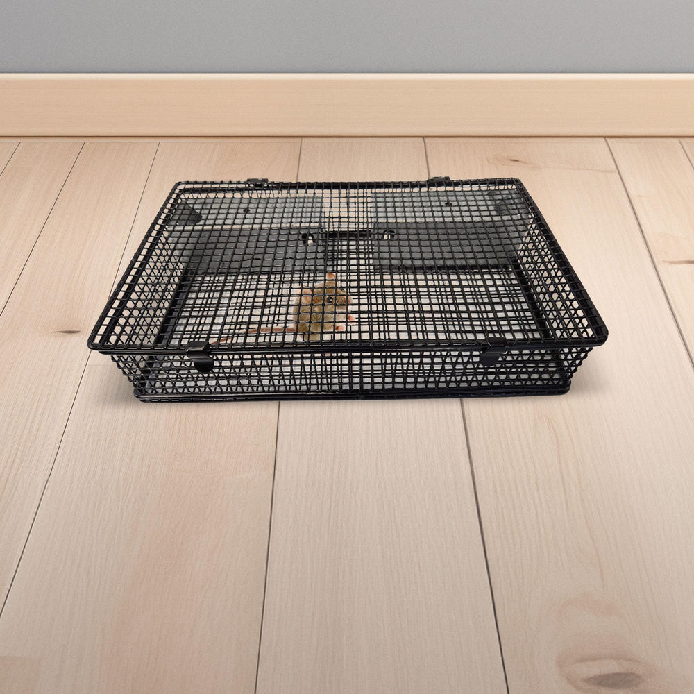 Rugged Ranch Mousinator trap with double door entry