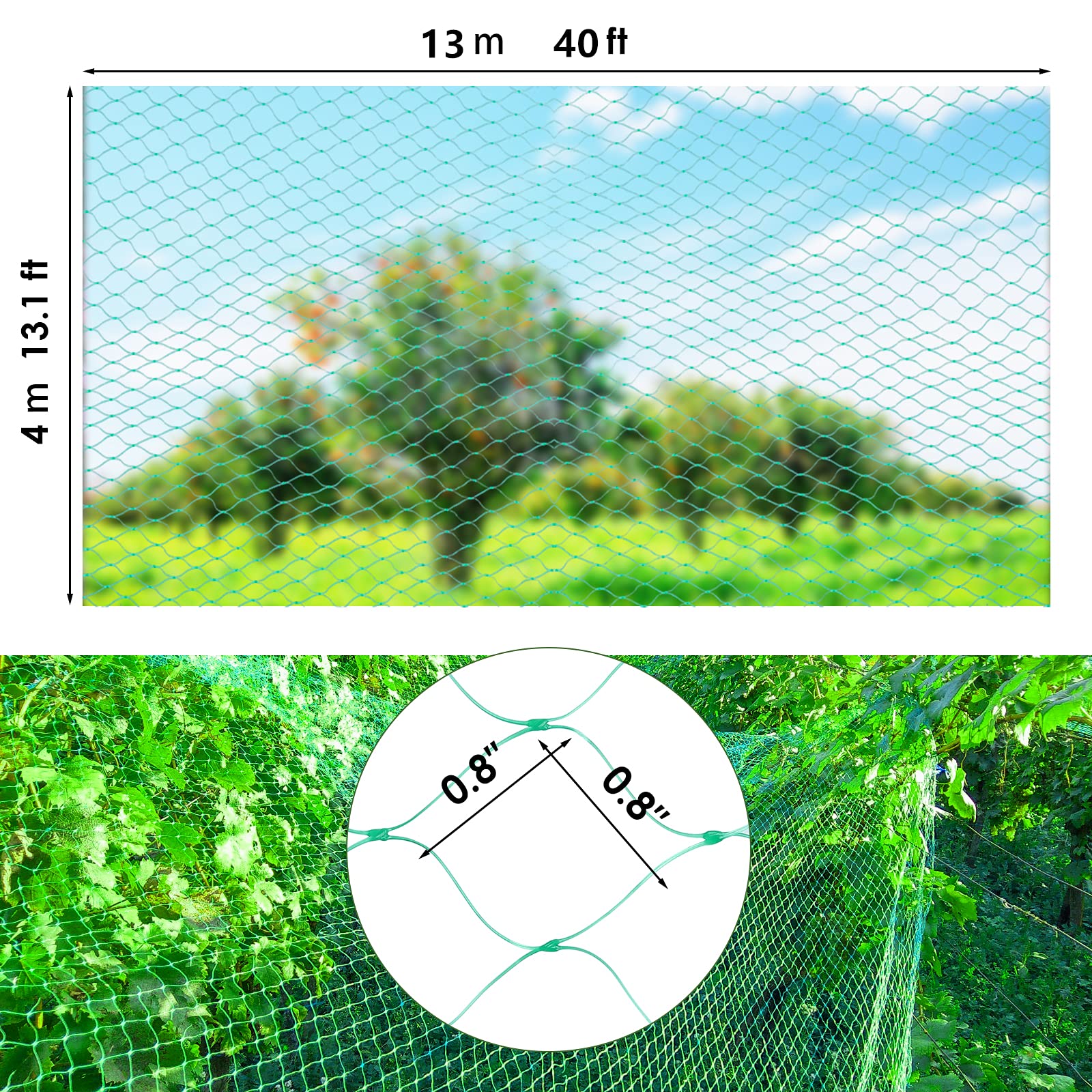 Ruolan Bird Netting installed over blueberry plants