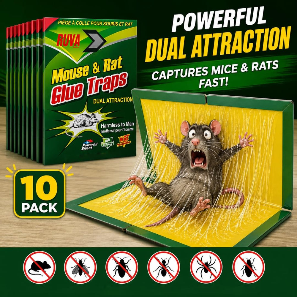Ruva Mouse Glue Trap in use in a corner setting