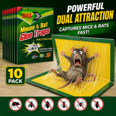 Ruva Mouse Glue Trap in use in a corner setting