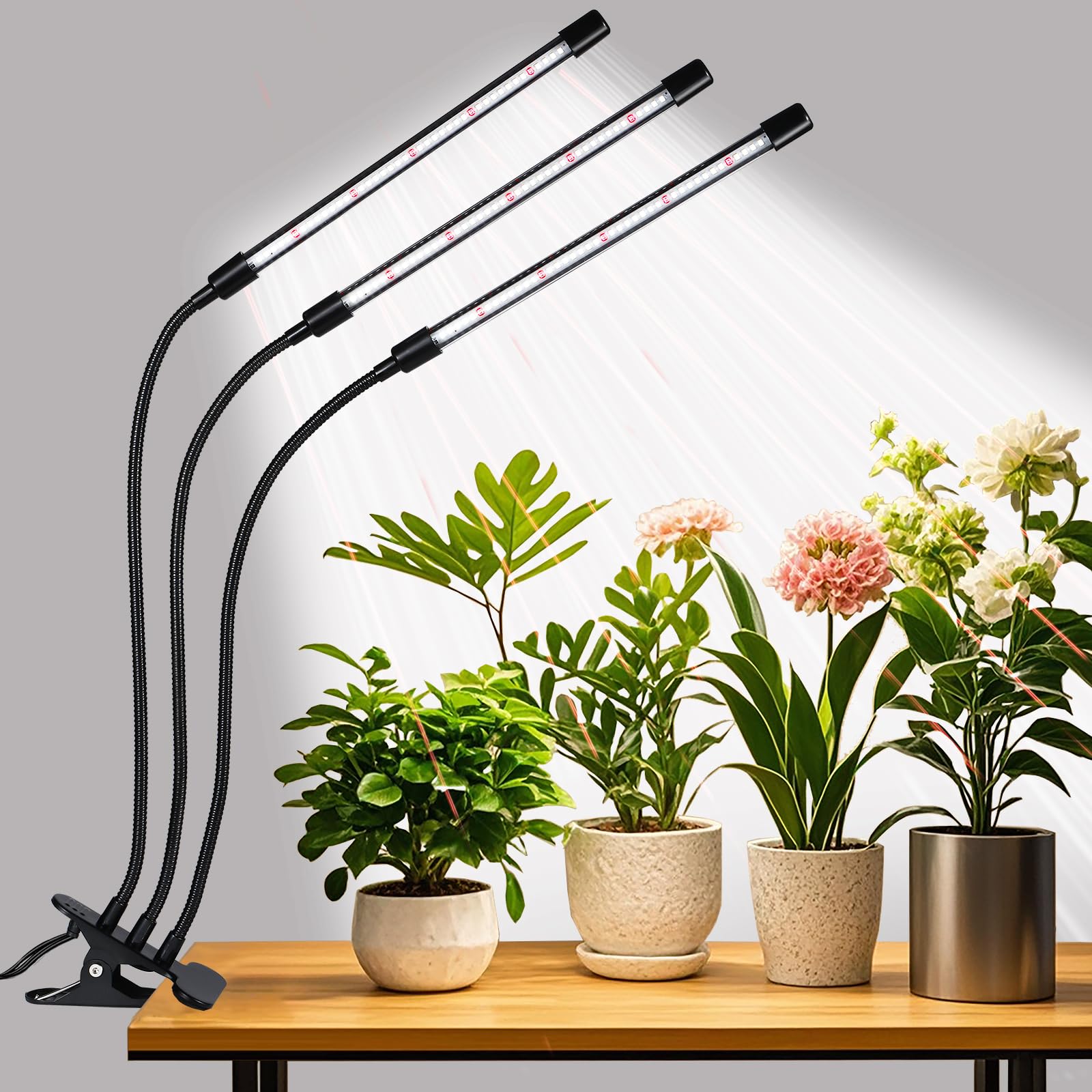 RWNTAO 3 Head Grow Lights black model front view