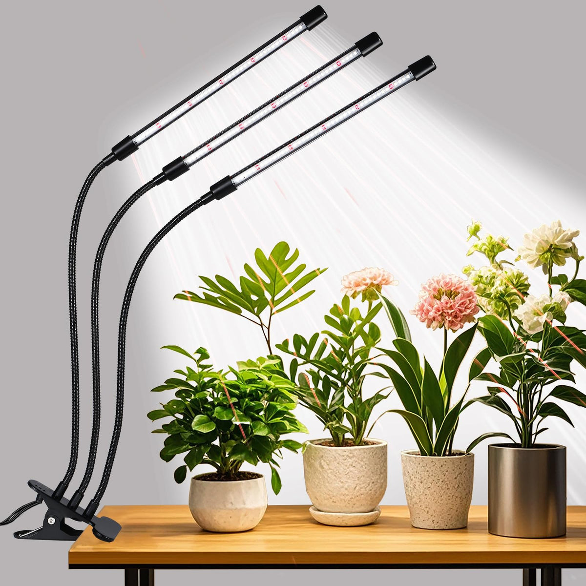 RWNTAO 3 Head Grow Lights black model front view