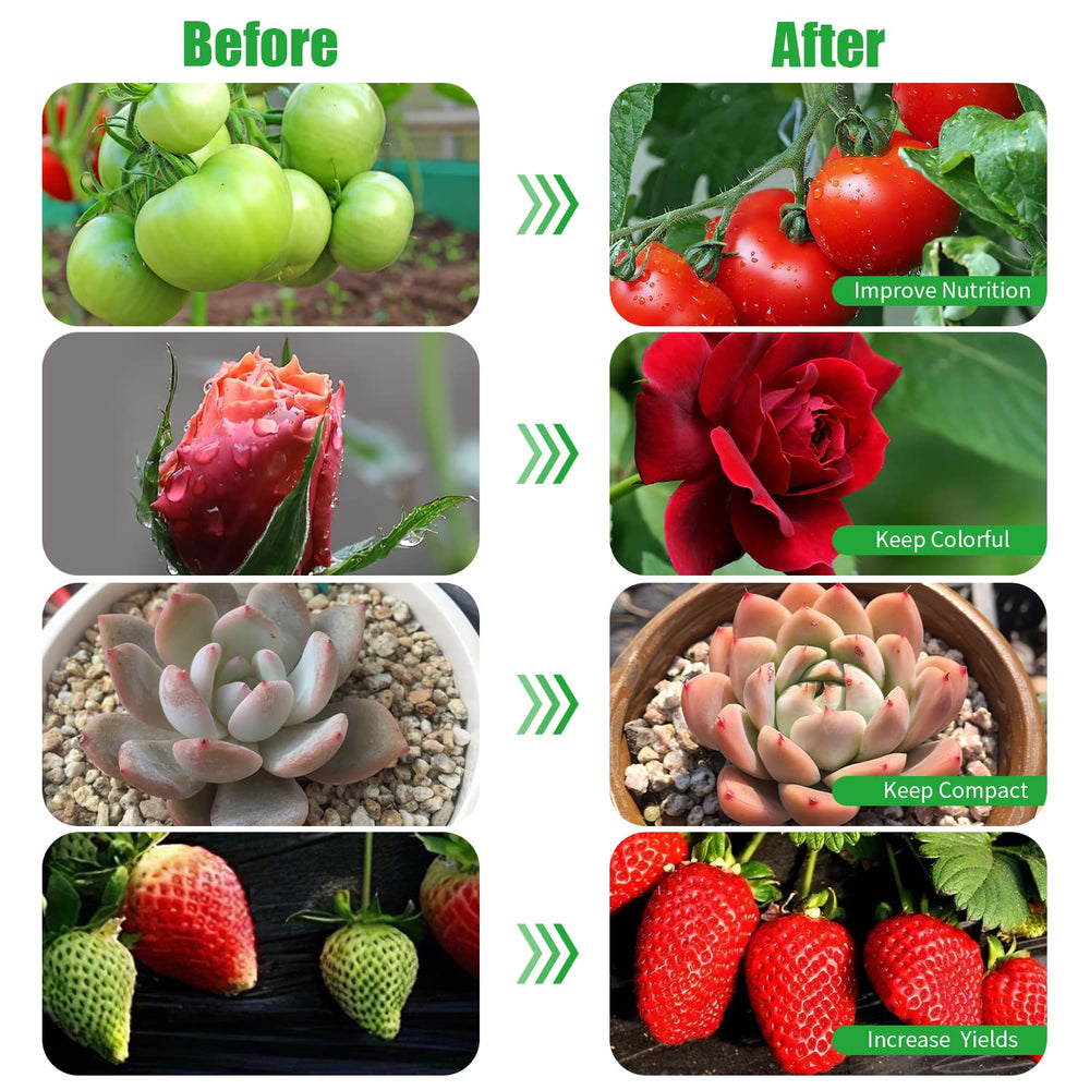 RWNTAO Grow Lights demonstrating timer function