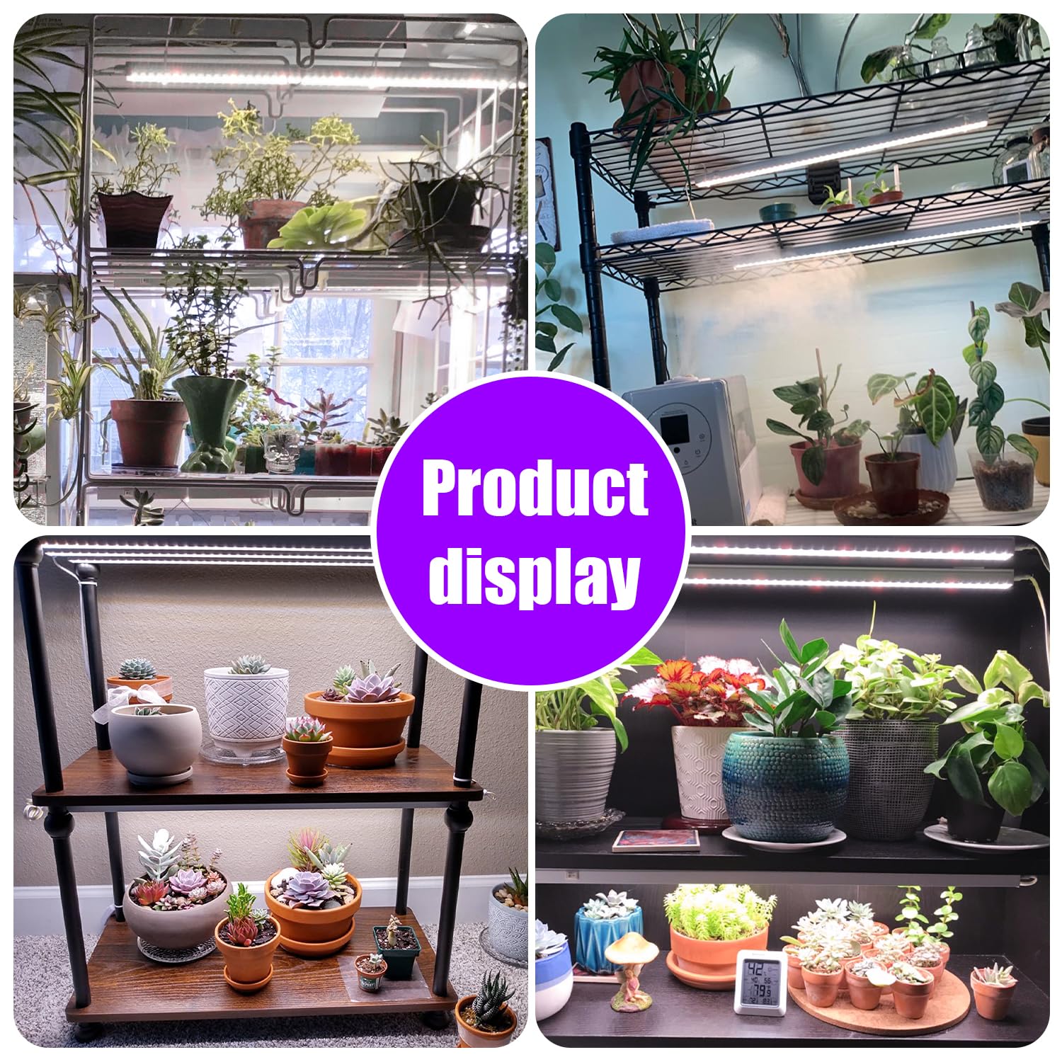 RWNTAO LED Grow Light Strips timer function displayed