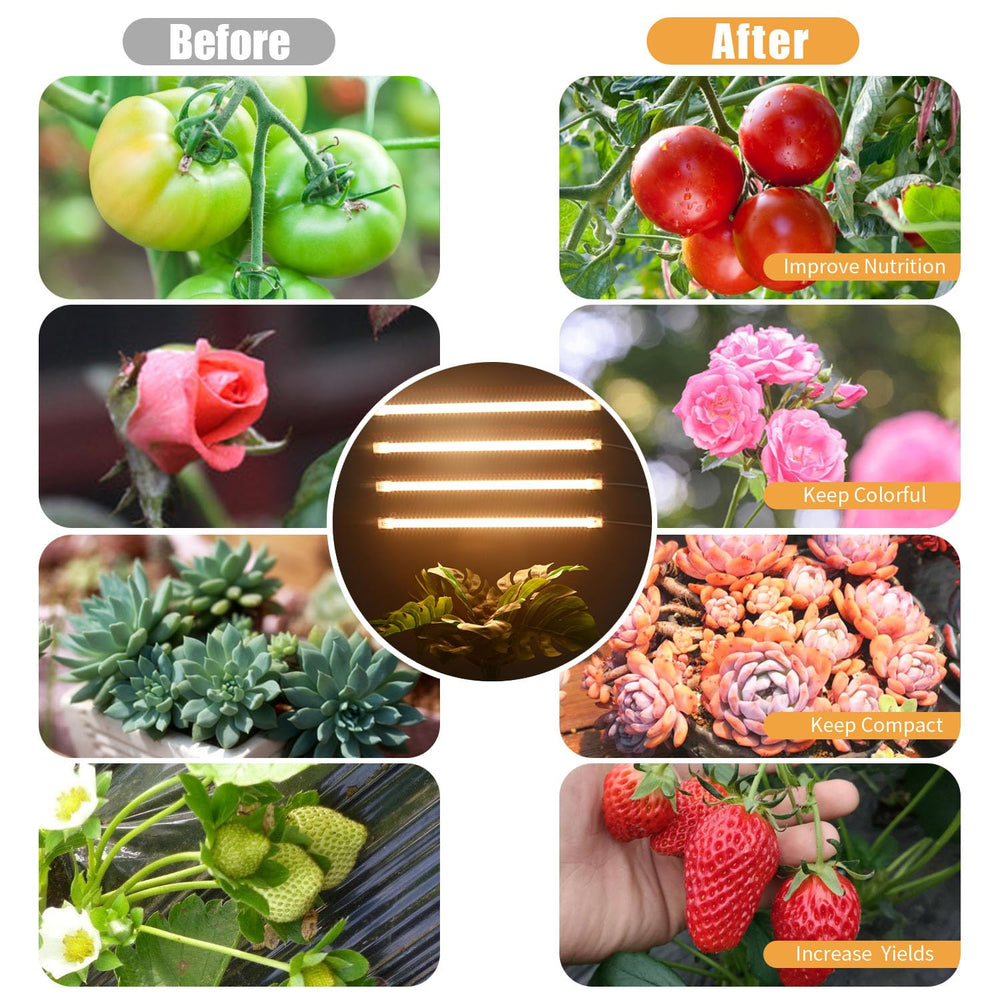 RWNTAO LED Plant Grow Lamp demonstrating full spectrum light