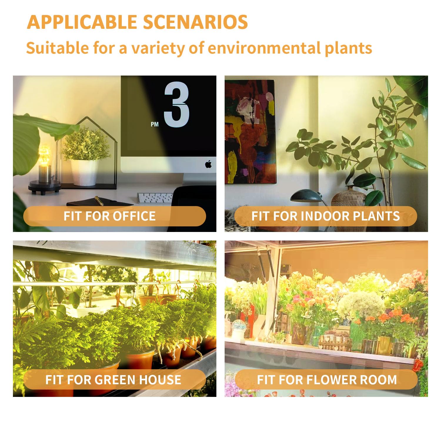 RWNTAO LED Plant Grow Lamp showing timer settings