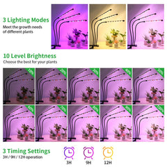 RWNTAO LED Plant Grow Light installation with flexible gooseneck
