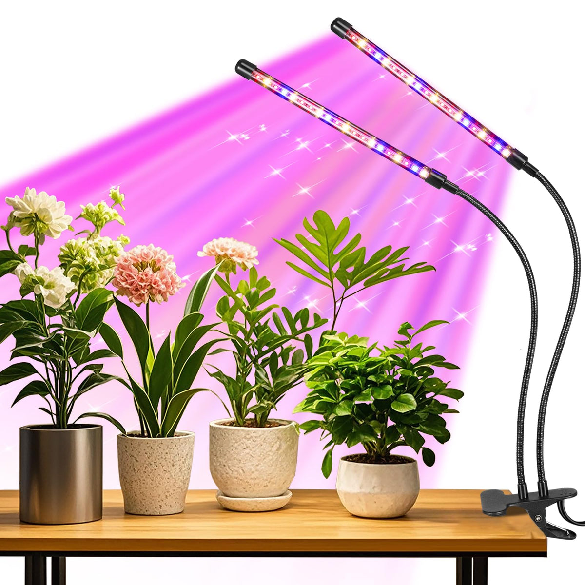 RWNTAO LED Plant Grow Light with flexible gooseneck and clip
