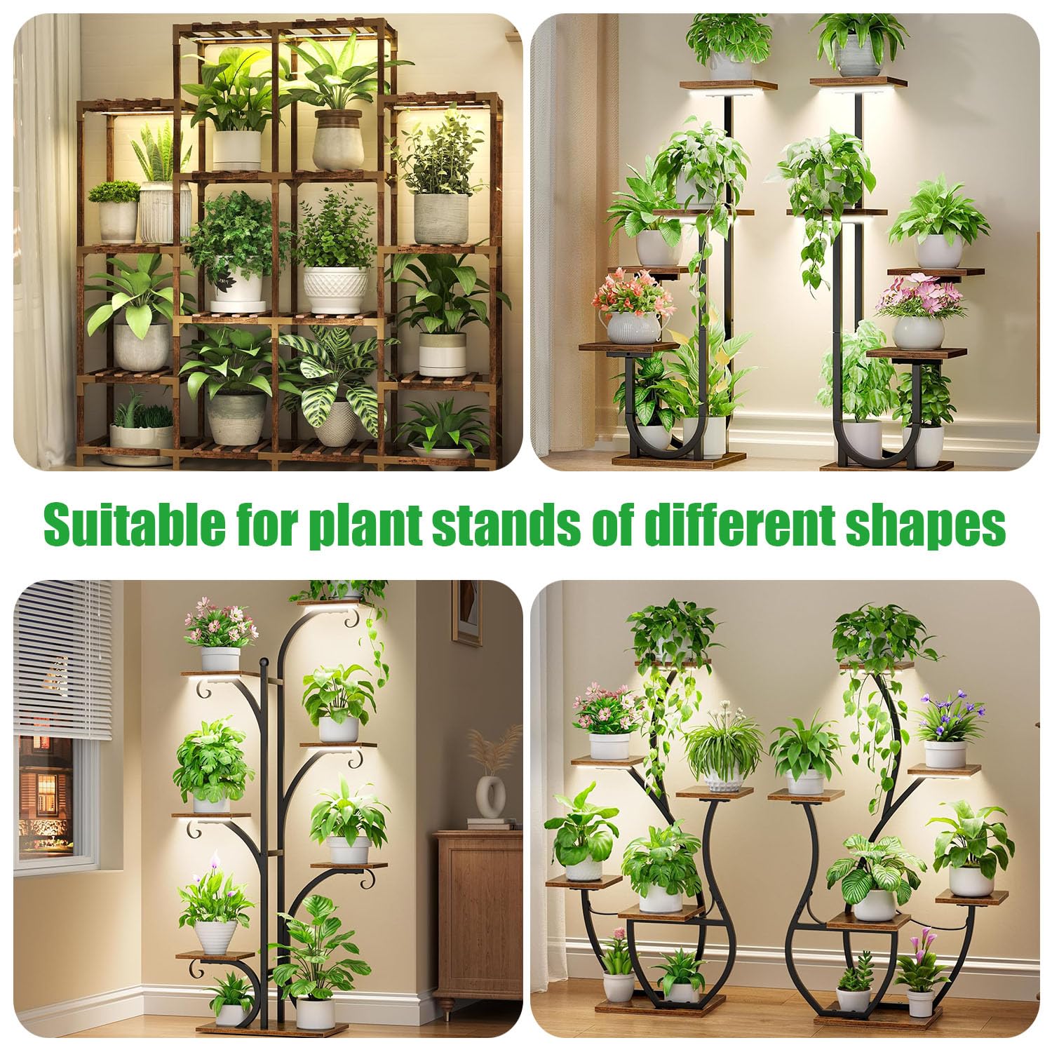 RWNTAO LED Plant Growing Lamp in packaging