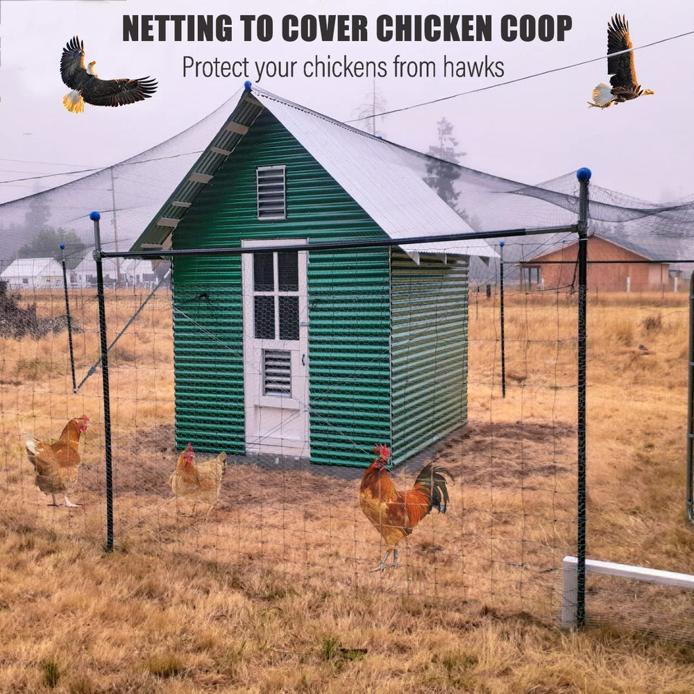 RYHBETH Bird Netting 50x50ft installation with stakes