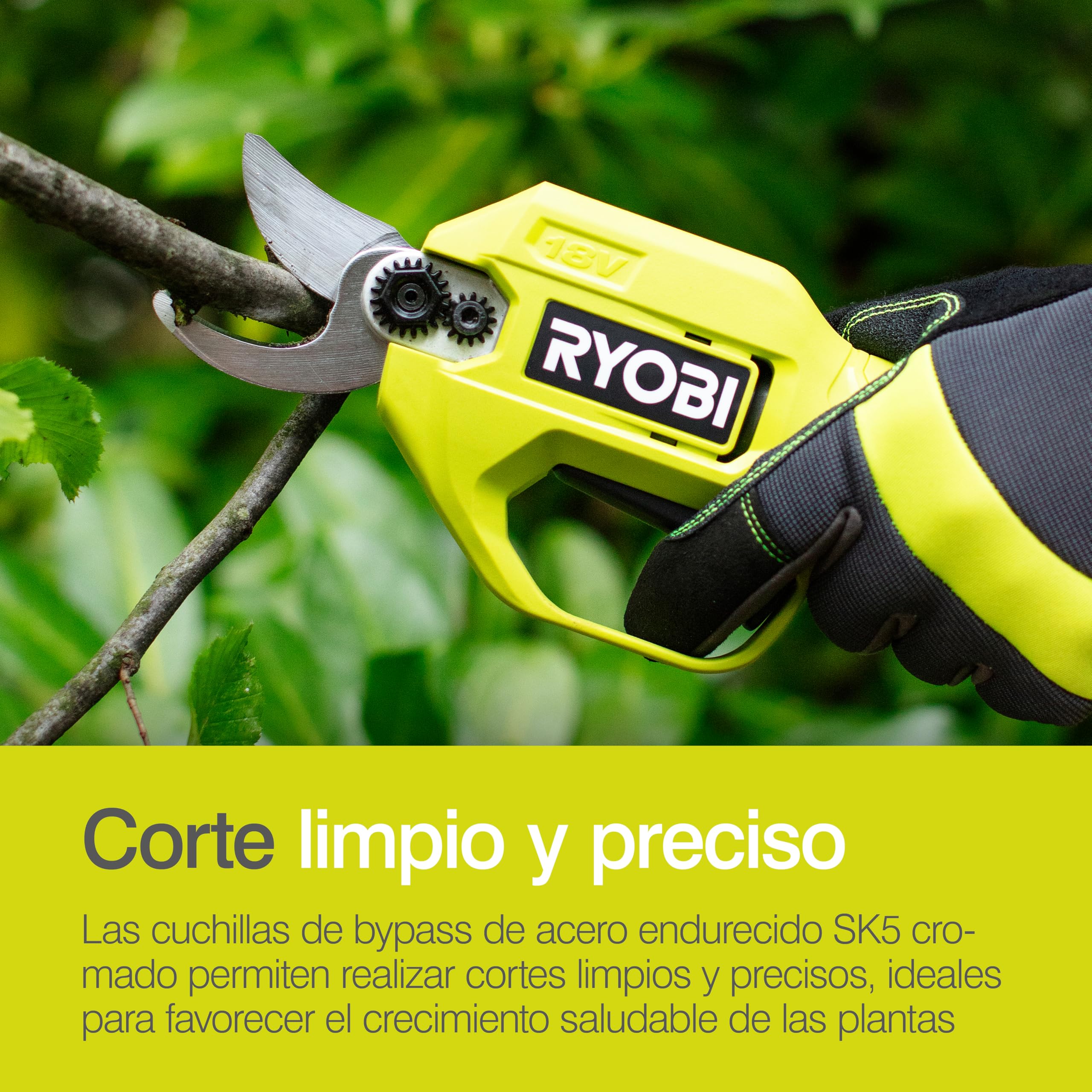 RYOBI cordless secateurs package contents