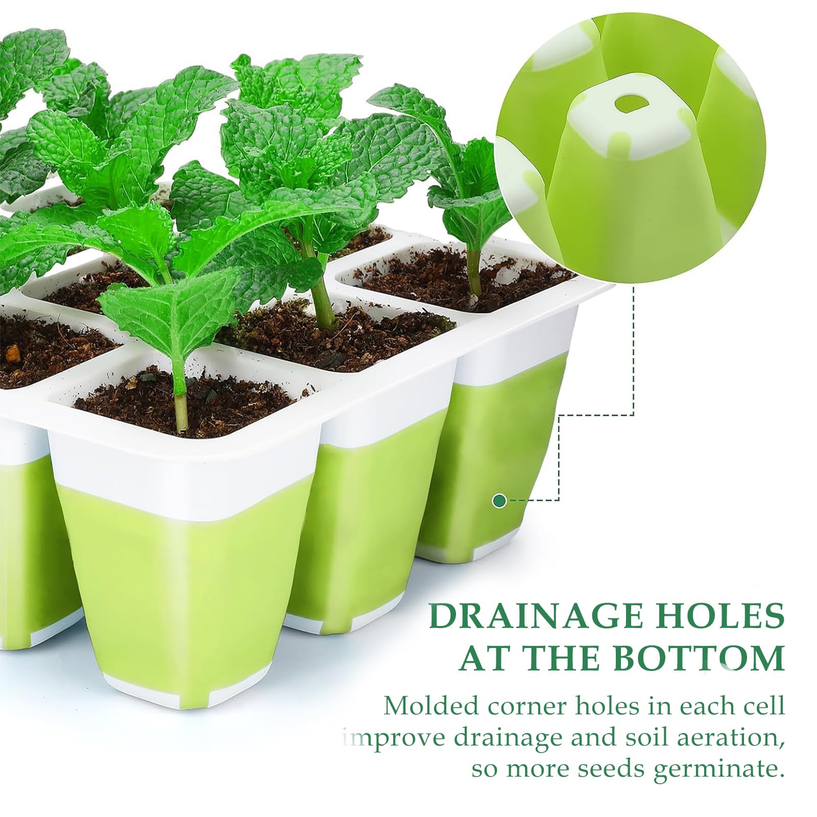 Ryscam seed starter kit with smiley drain holes