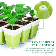 Ryscam seed starter kit with smiley drain holes