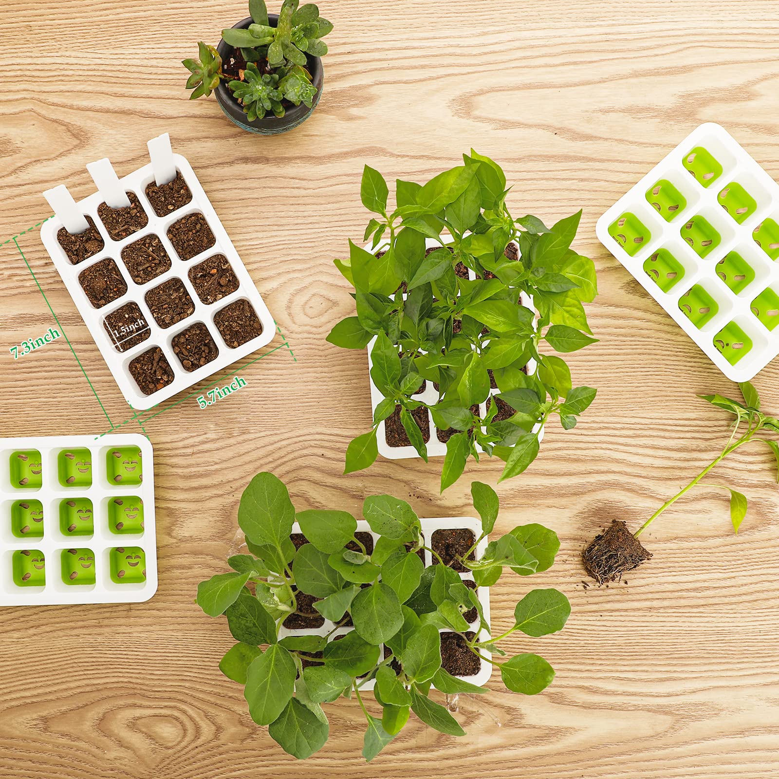 Ryscam silicone seedling tray showing flexible pop-out cells