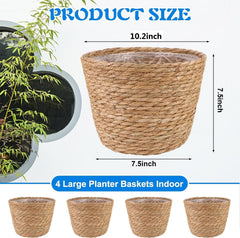 RZJSLSHANHAI seagrass planter basket with plant inside