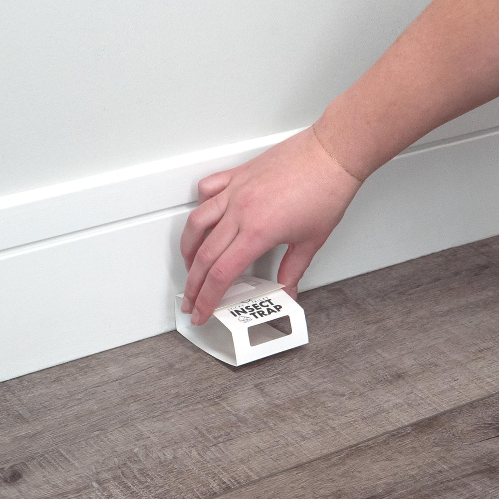 S&T INC. Insect Traps illustration of active use