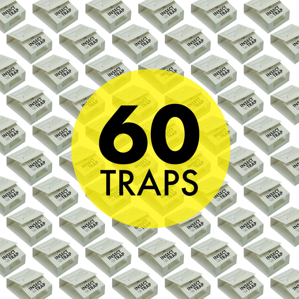 S&T INC. Insect Traps unfolded size 10 x 2.5 inches
