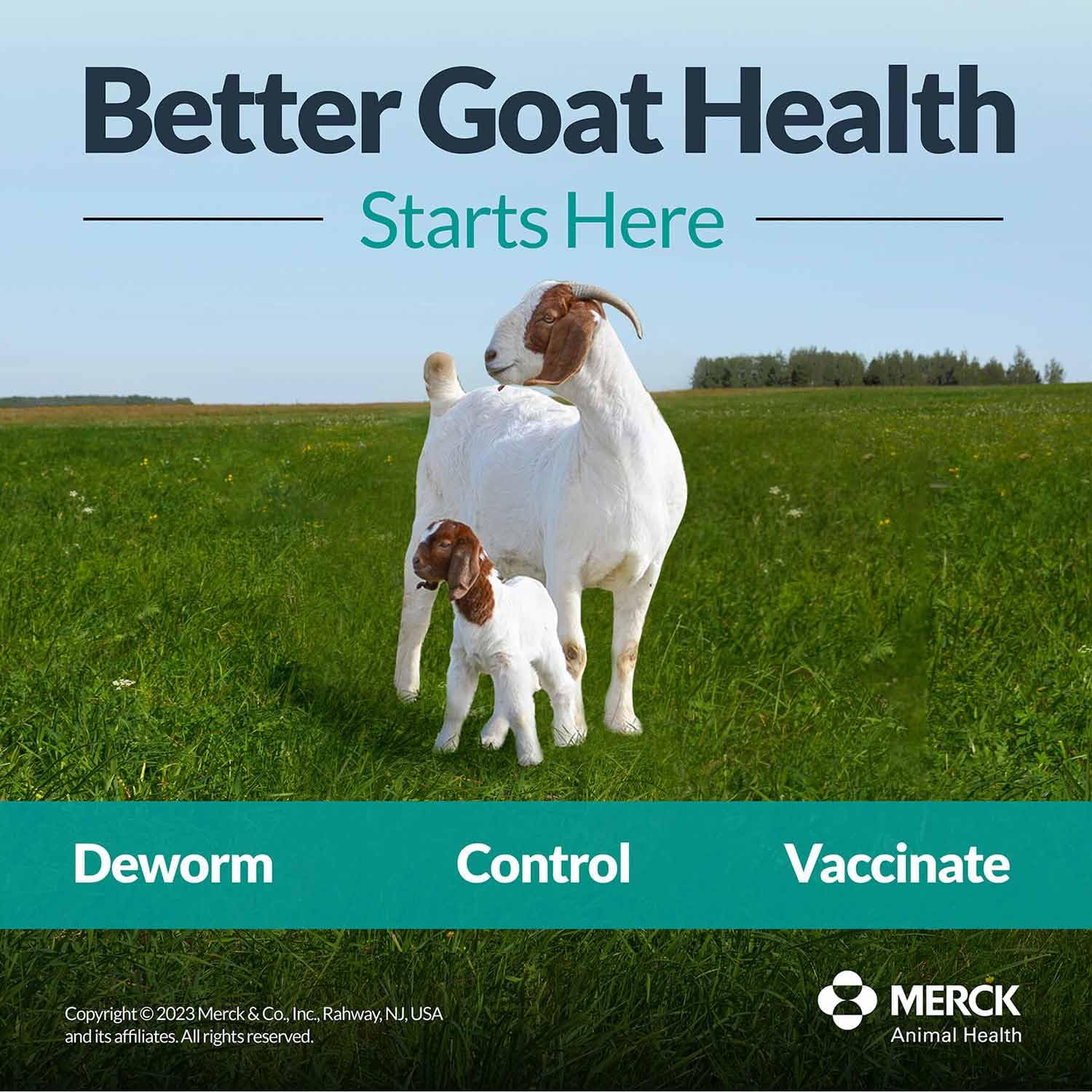 SAFE-GUARD Dewormer Liquid application process