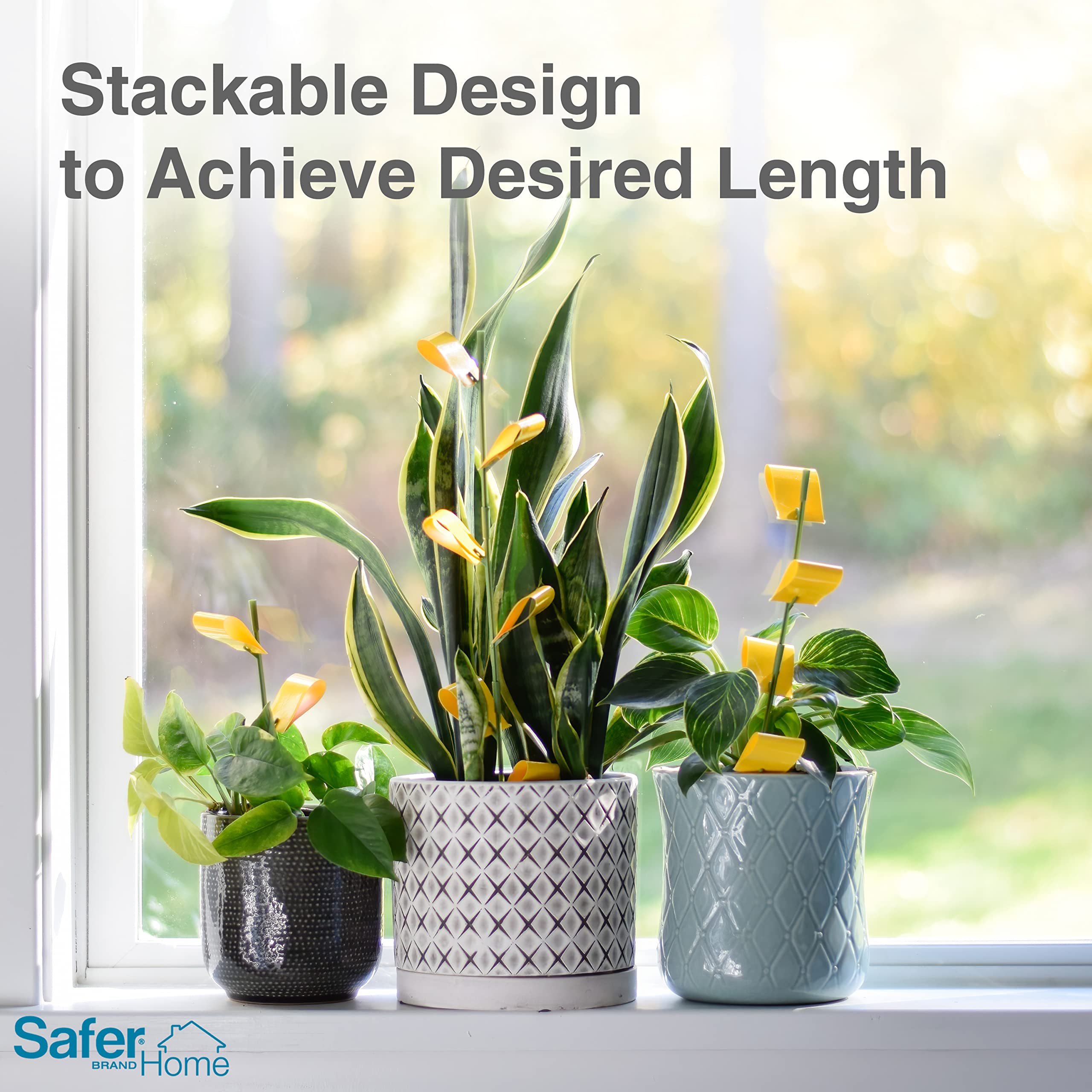 Safer Houseplant Sticky Stakes showing full traps covered with insects