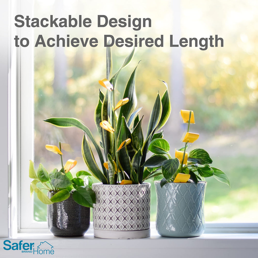 Safer Houseplant Sticky Stakes showing full traps covered with insects