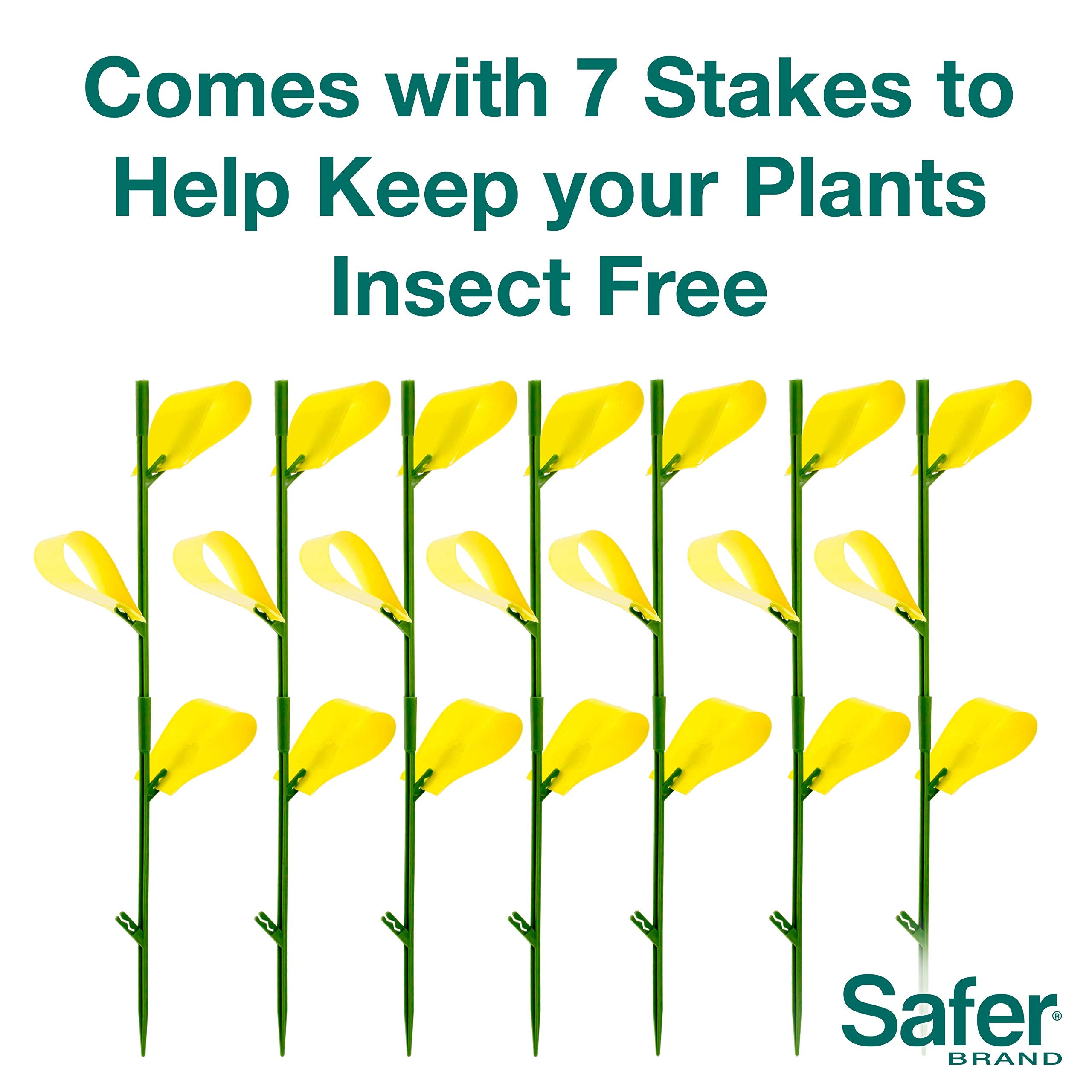 Safer Houseplant Sticky Stakes with insects trapped