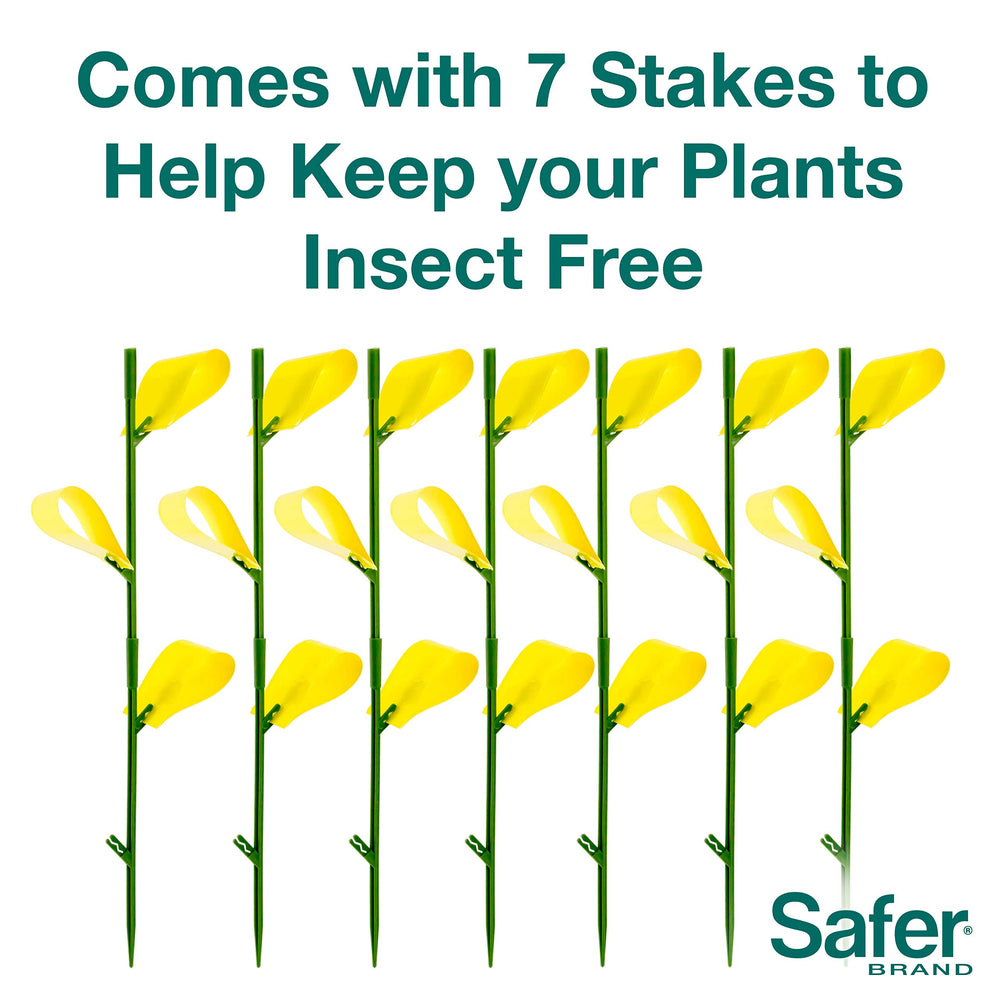 Safer Houseplant Sticky Stakes with insects trapped