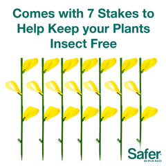 Safer Houseplant Sticky Stakes with insects trapped