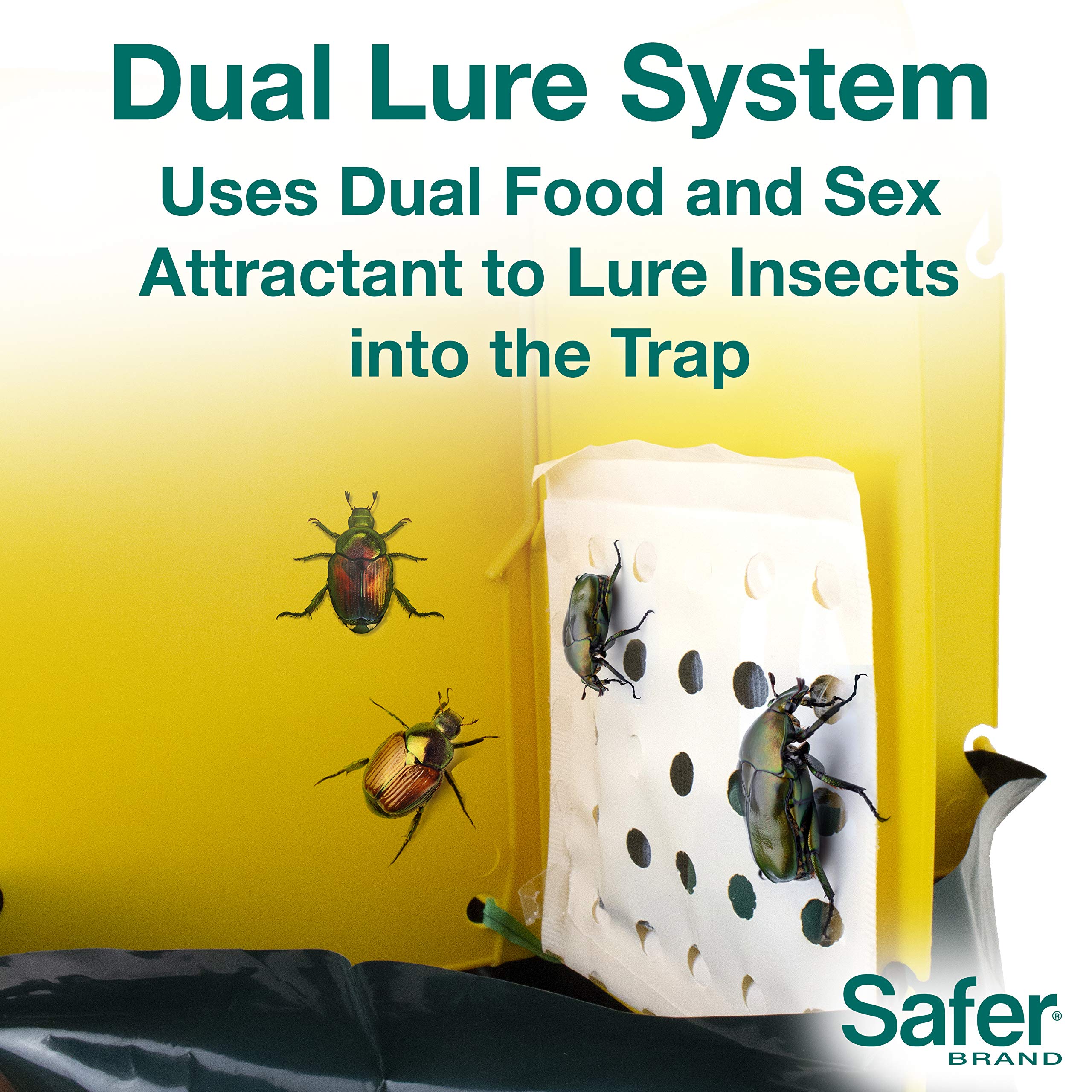 Safer Japanese Beetle Trap demonstrating its dual-action lure