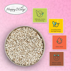 Safflower seeds granule texture