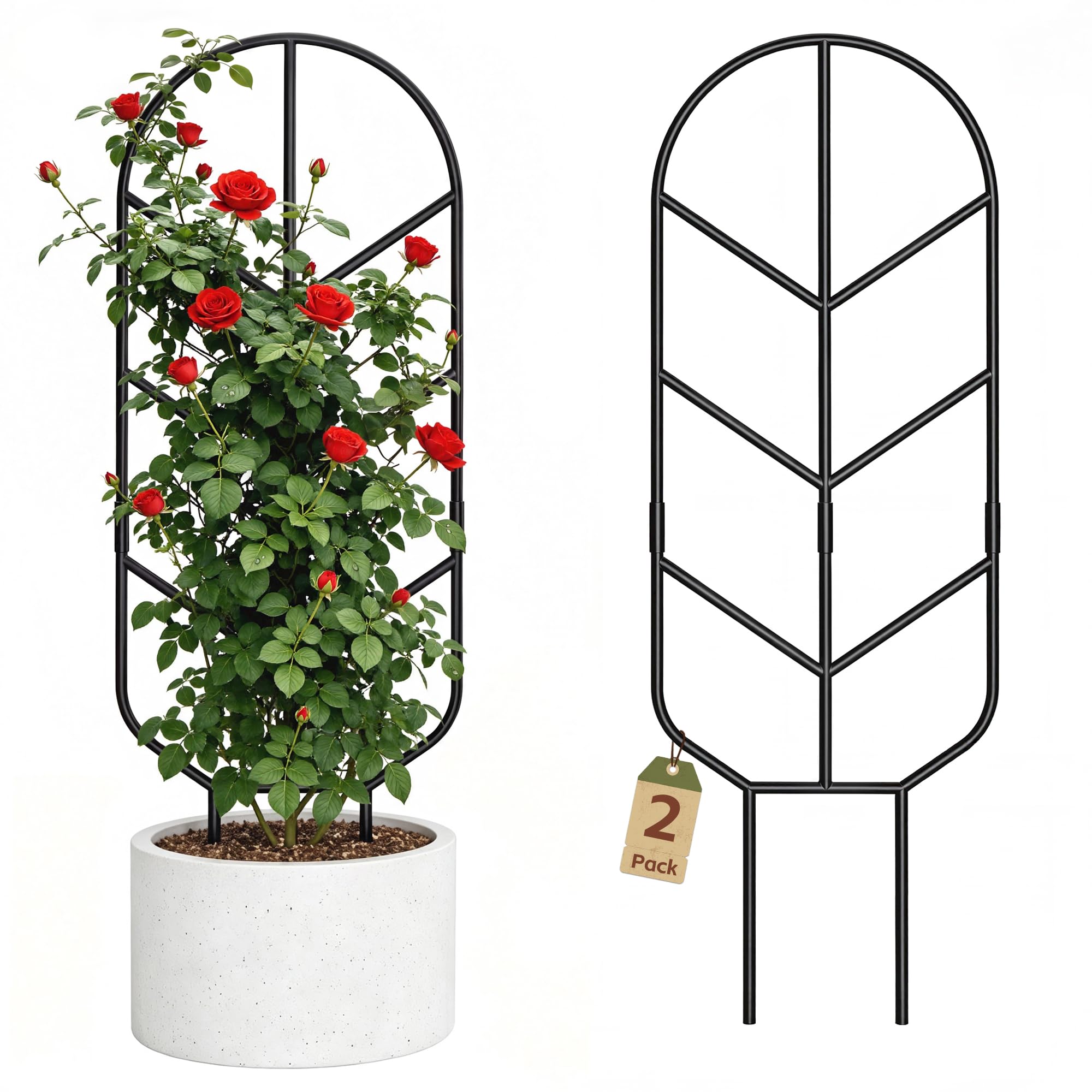 Saffruff 30'' metal plant trellis front view with black finish