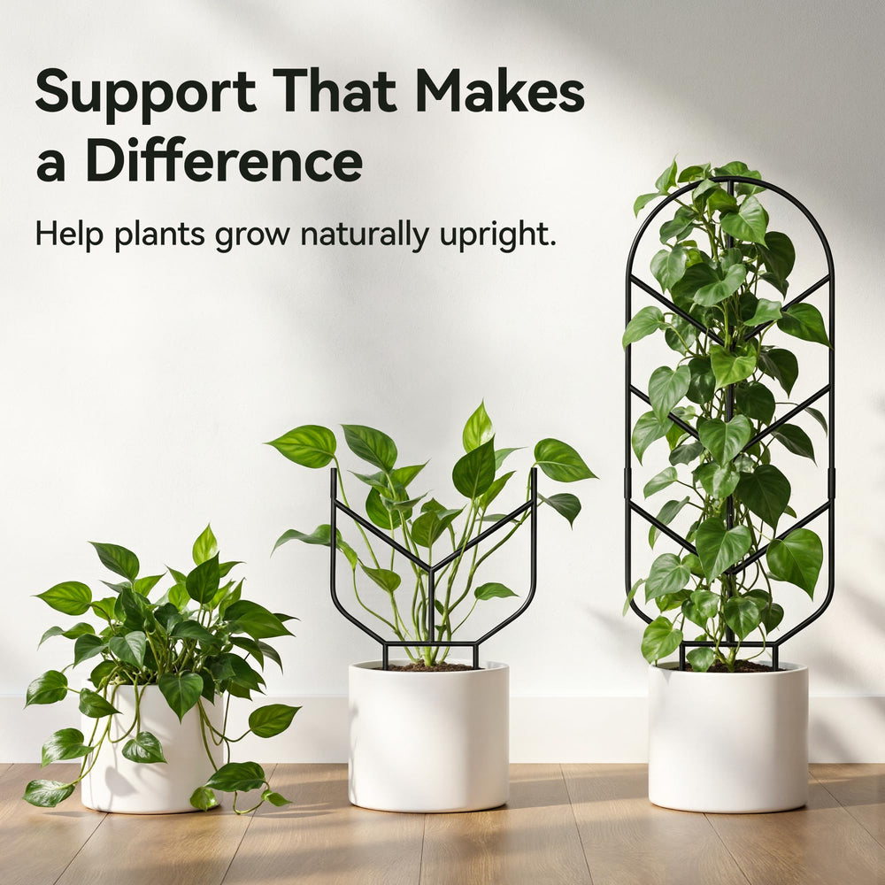 Saffruff 30'' metal plant trellis supporting a monstera plant