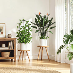 saffruff Metal Plant Trellis in a potted plant setup