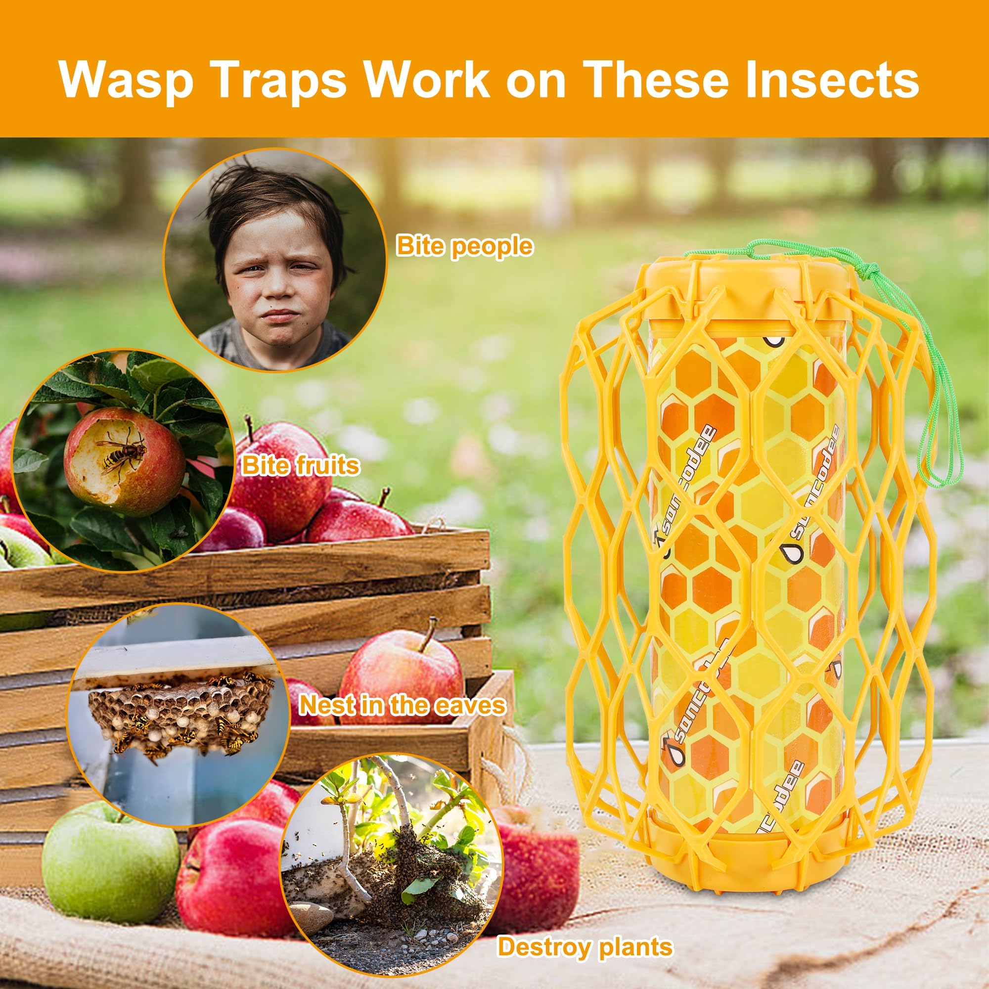 Sancodee outdoor wasp trap in garden setting