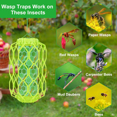Sancodee wasp trap hanging in a garden
