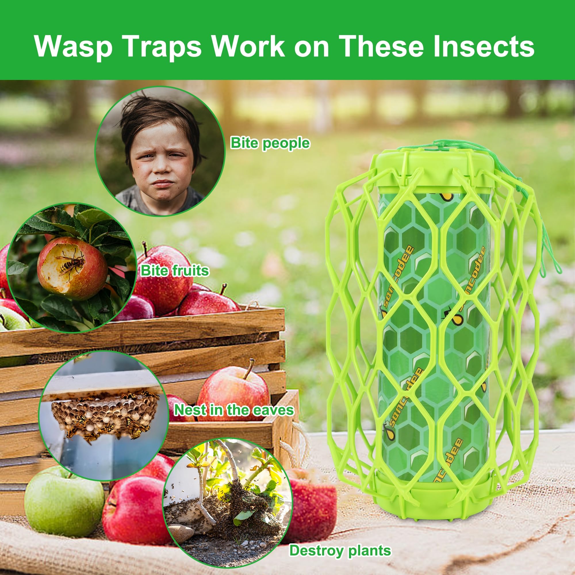 Sancodee Wasp Trap packaging front view