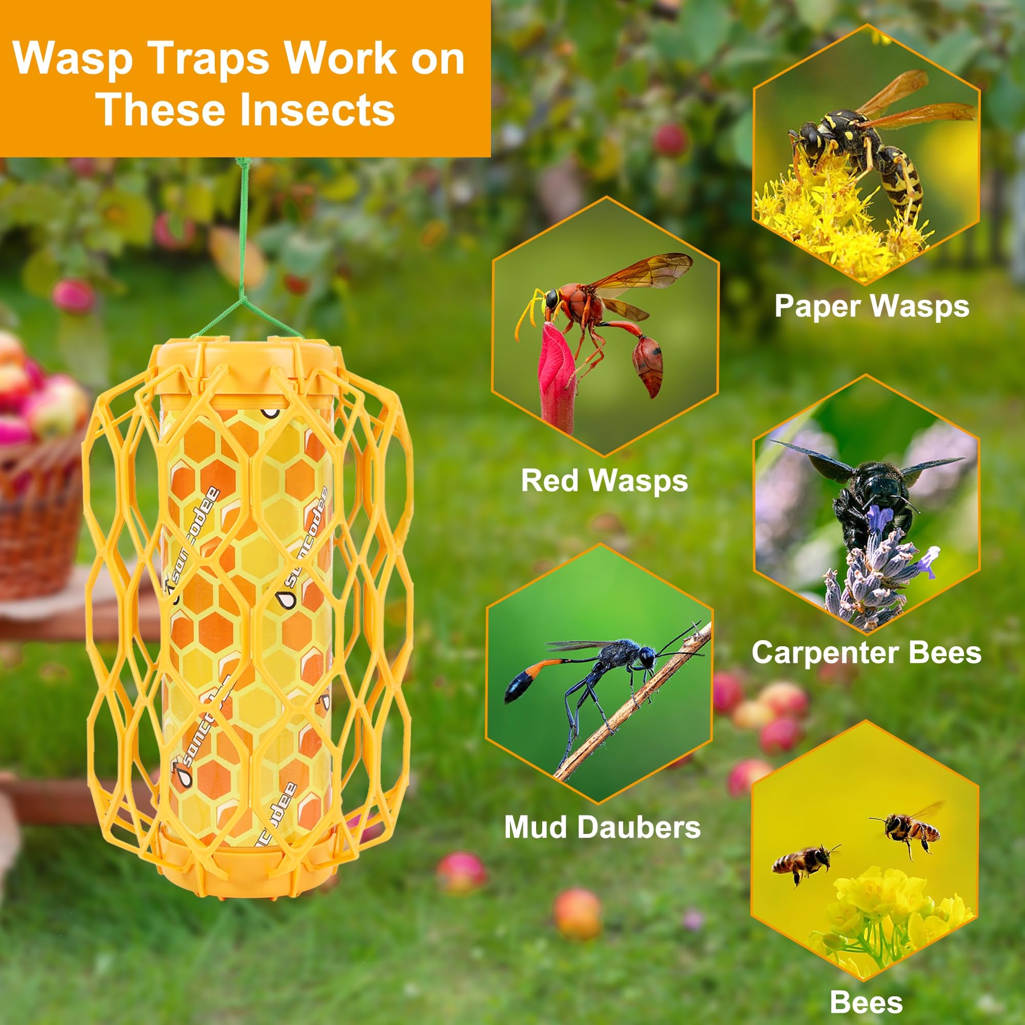 Sancodee wasp trap showing sticky surface close-up