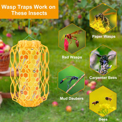 Sancodee wasp trap showing sticky surface close-up