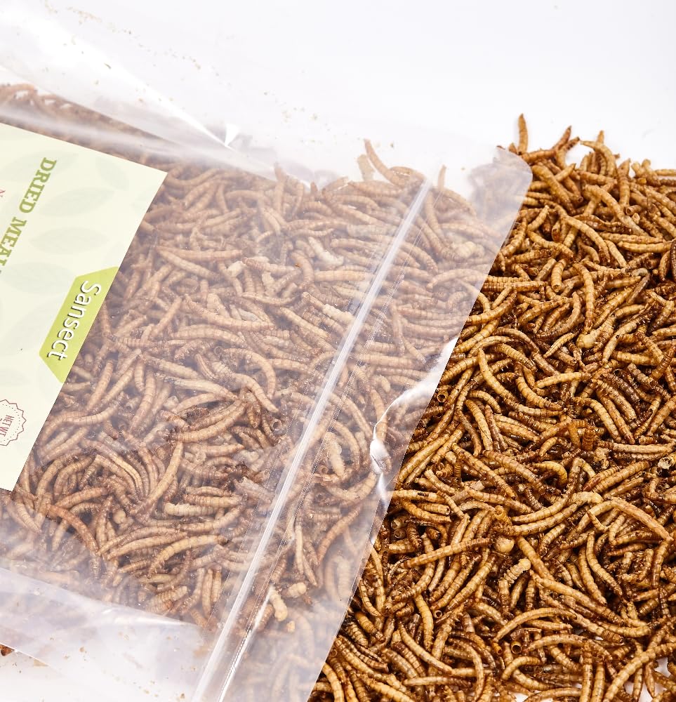 SANSECT Dried Mealworms 5 lb on a table with other bird feed
