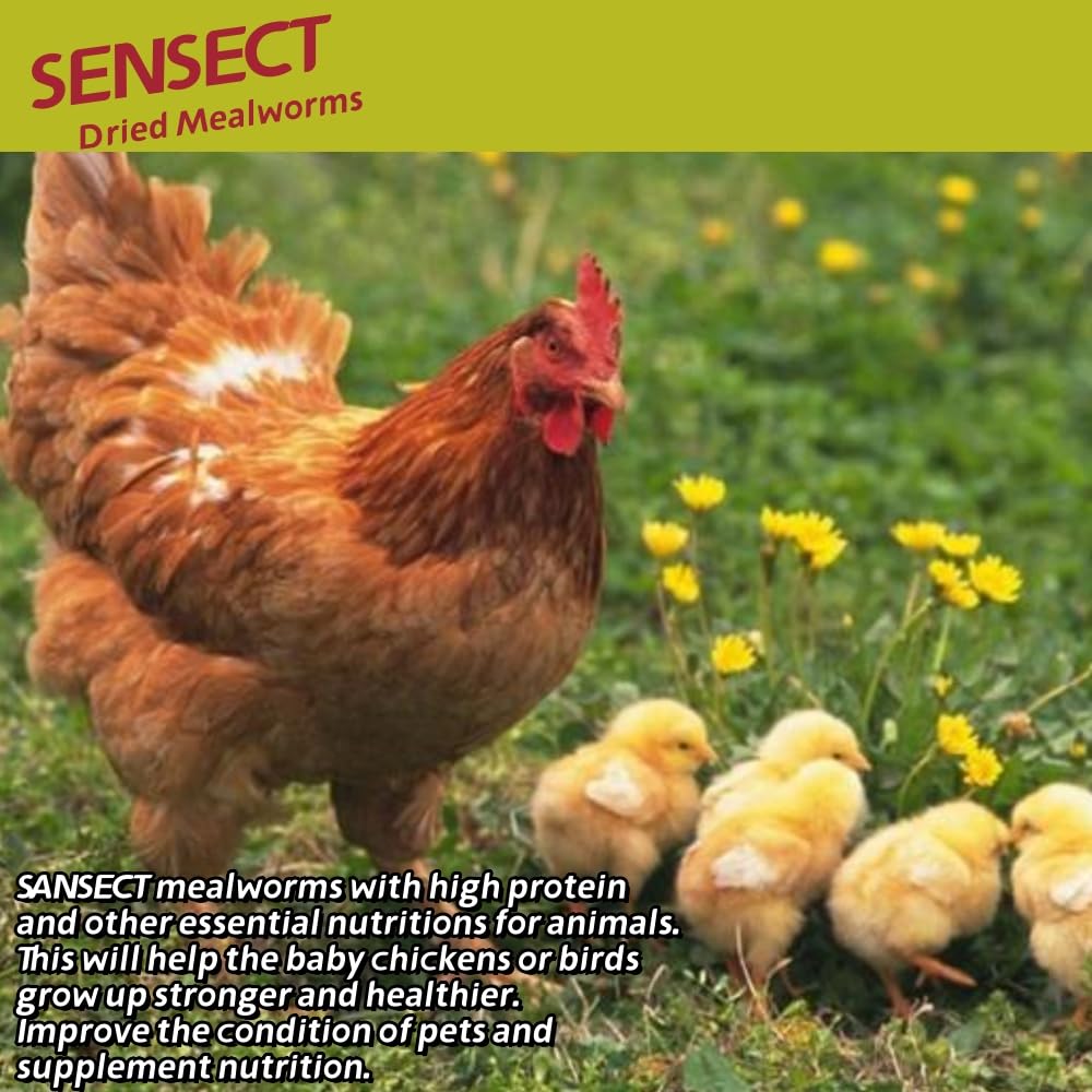 SANSECT Dried Mealworms zip-top bag opened
