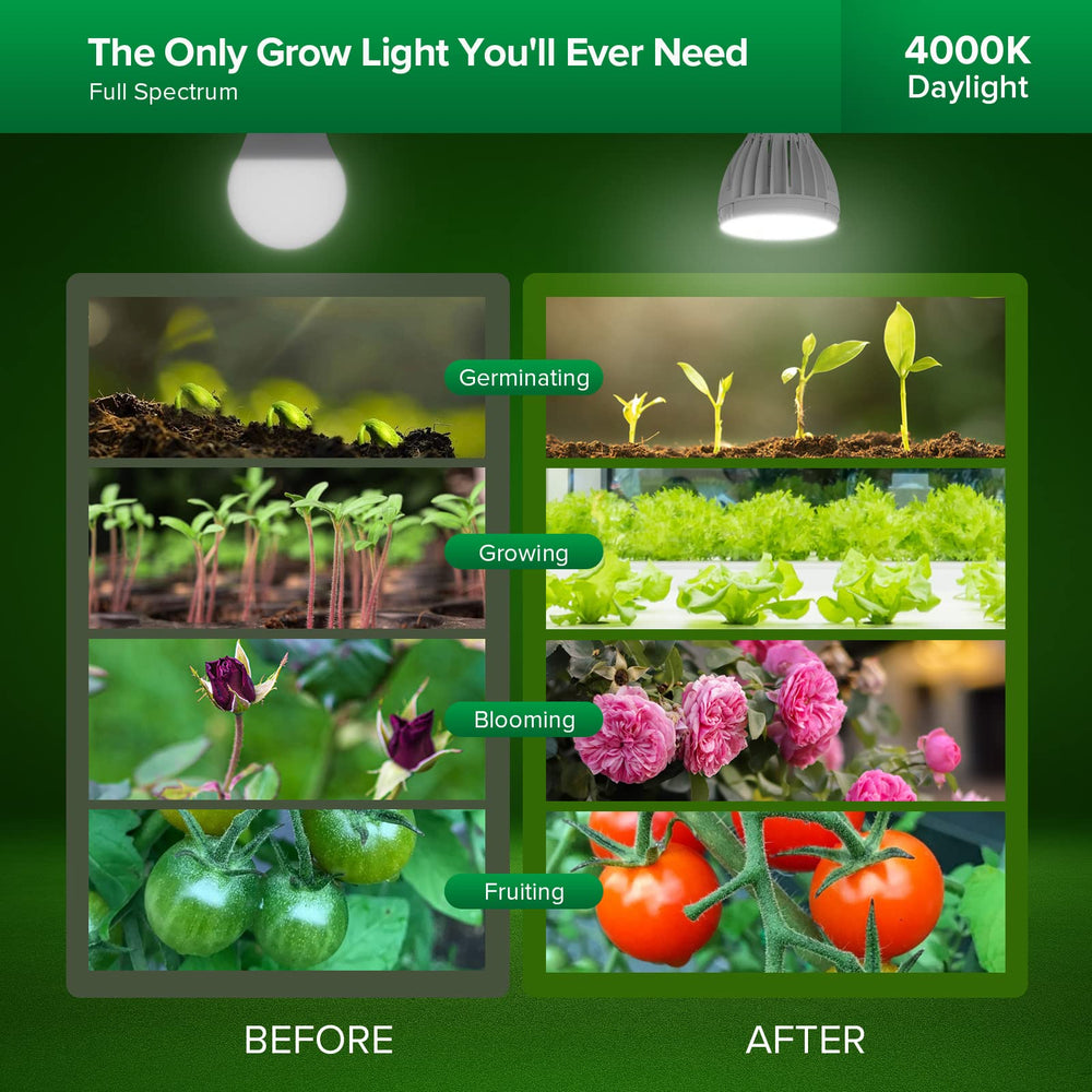 SANSI 32W Grow Light Bulb showing lens design