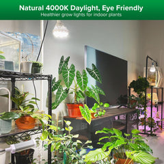 SANSI 36W Grow Light showing ceramic design