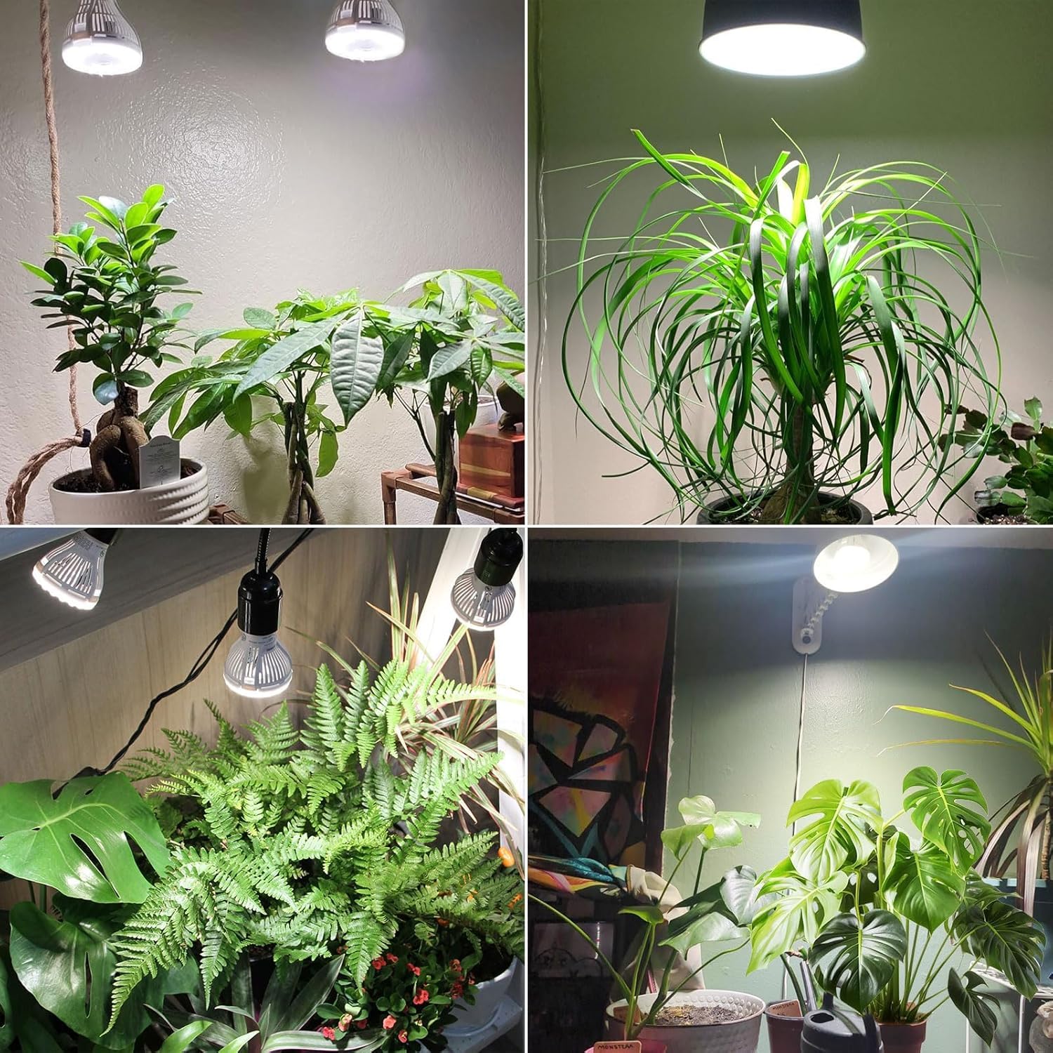 SANSI 5W dimmable grow light bulb in a home garden
