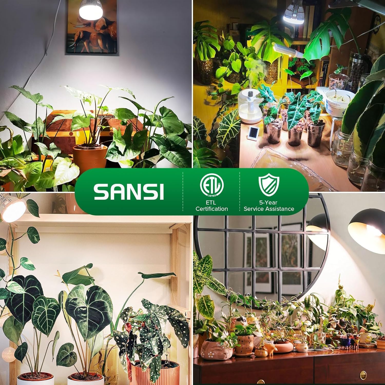 SANSI Grow Light Bulb displaying full spectrum light