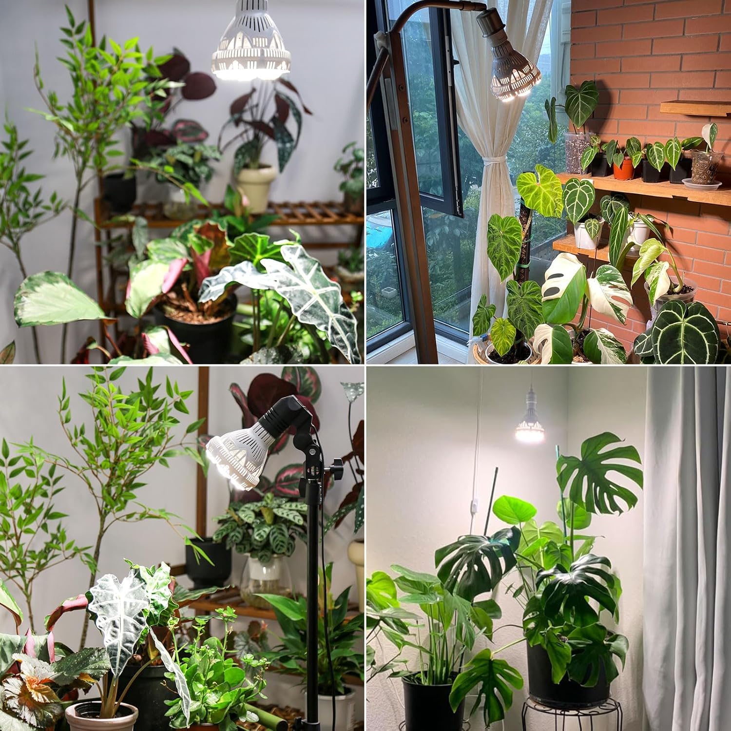 SANSI Grow Light Bulb packaging