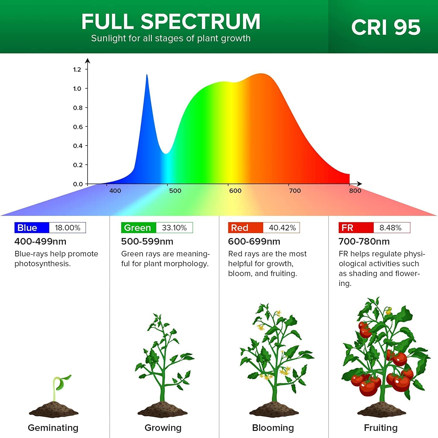 SANSI Grow Light Bulb packaging display