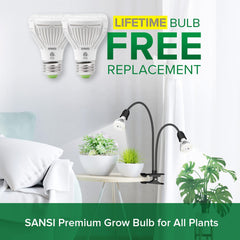 SANSI LED Grow Light in a plant stand