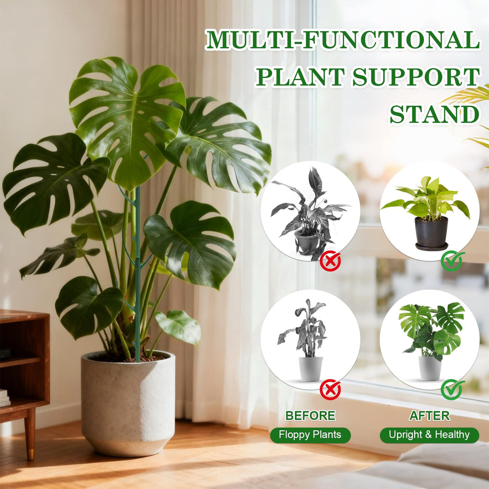 sanzkjic plant support stakes in use with monstera