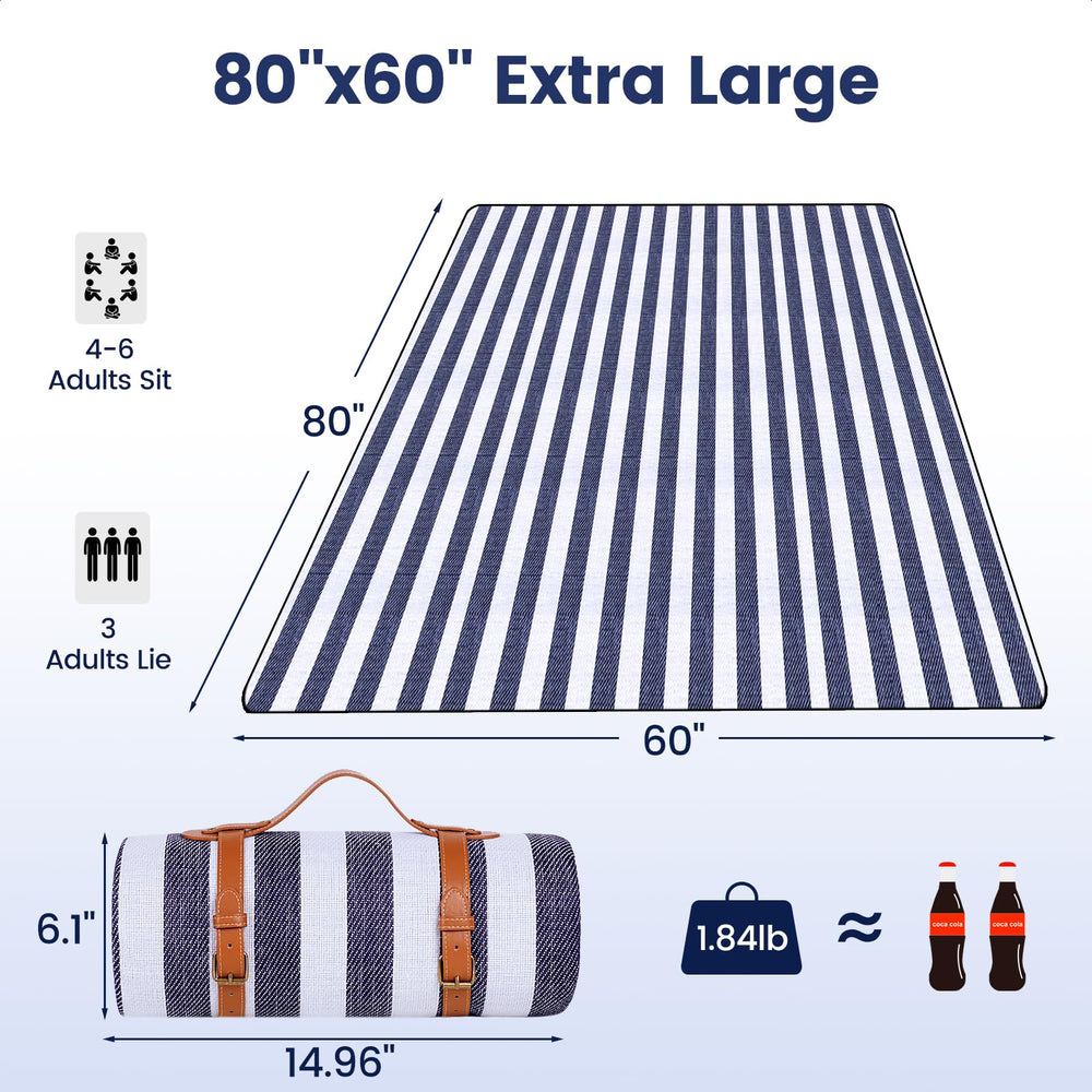 sapsisel picnic blanket laid out on grass with family